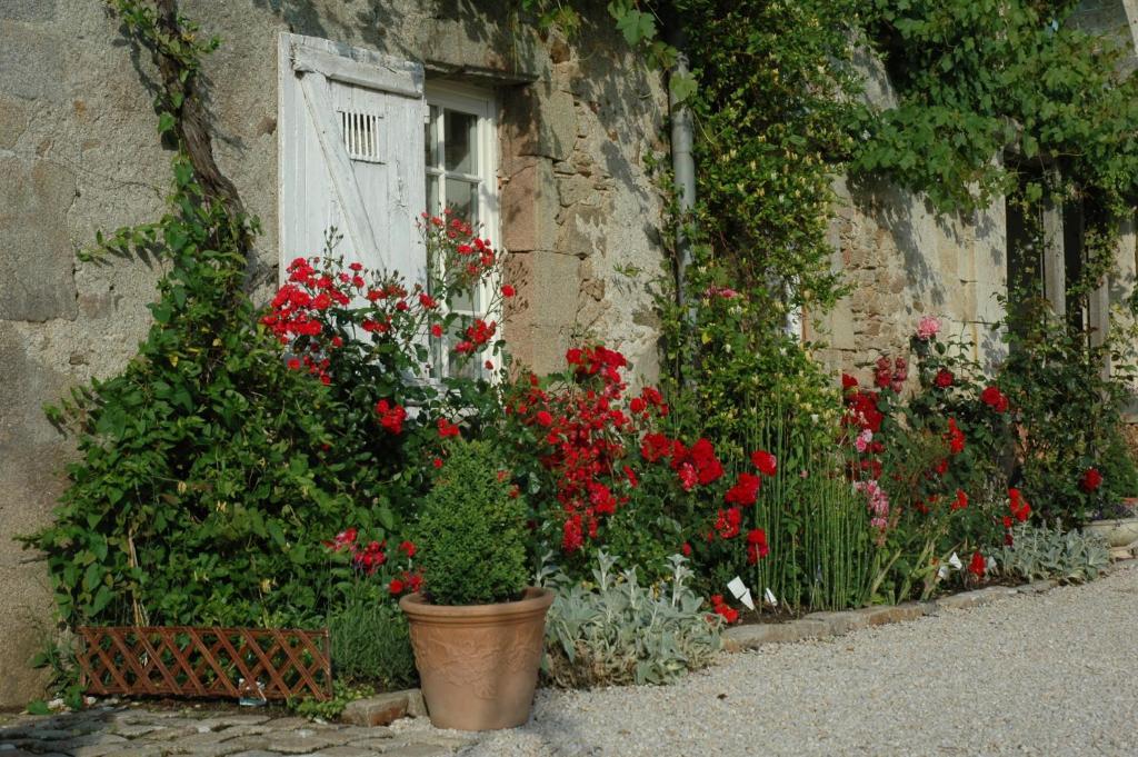 Chateau De L'Oiseliniere Bed & Breakfast Gorges  ภายนอก รูปภาพ