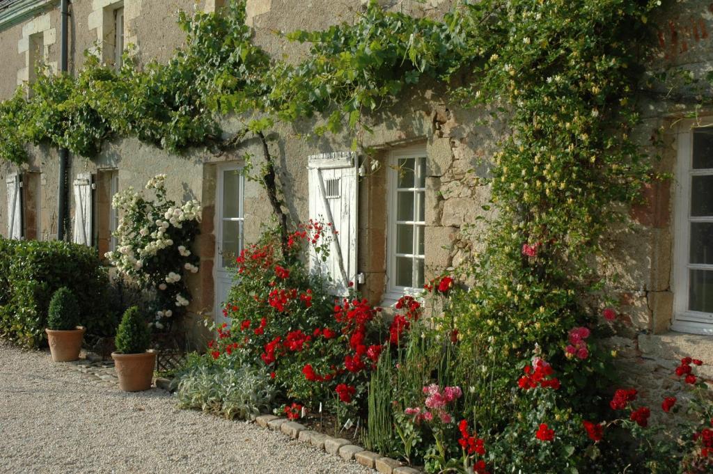 Chateau De L'Oiseliniere Bed & Breakfast Gorges  ภายนอก รูปภาพ